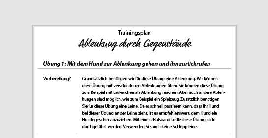 trainingsplan