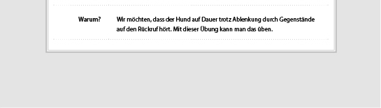 trainingsplan