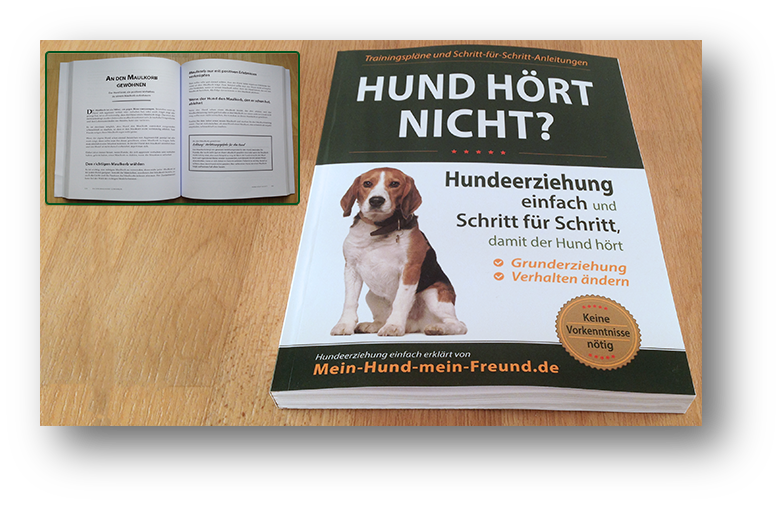 Hund hört nicht?